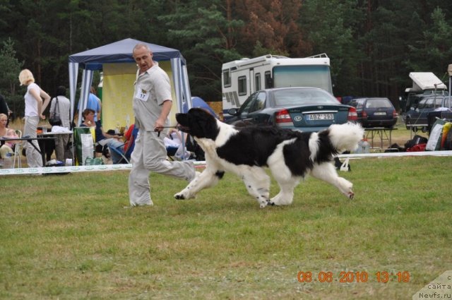 Фотография № 47555