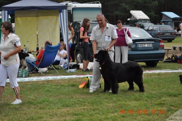 Фотография № 47557