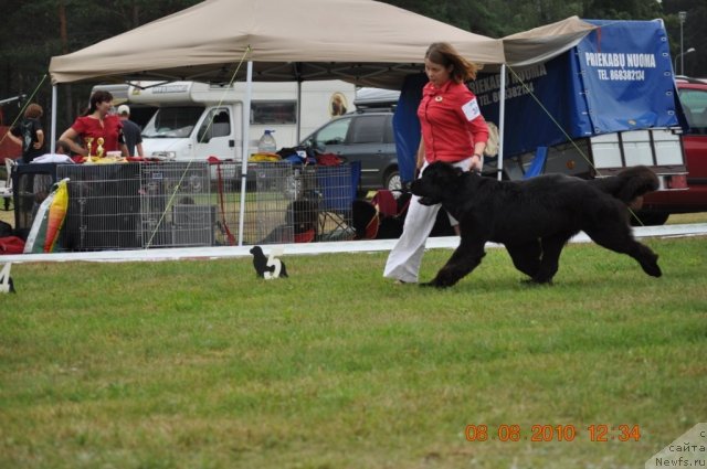 Фотография № 47559