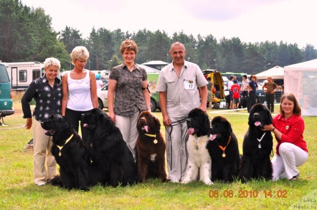 Фотография № 47565