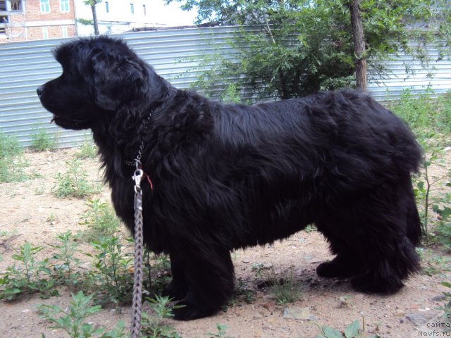 Фотография № 47576