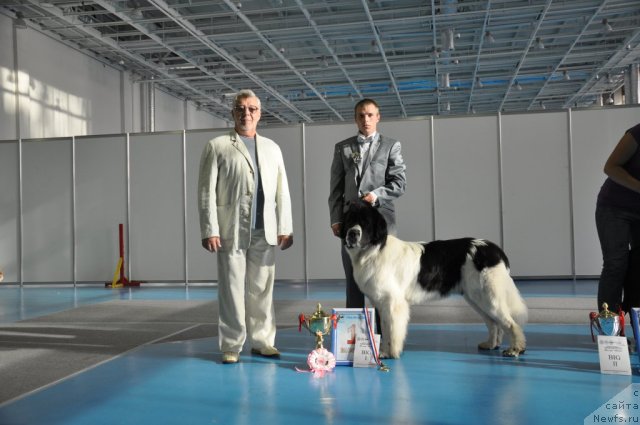 Фотография № 47584