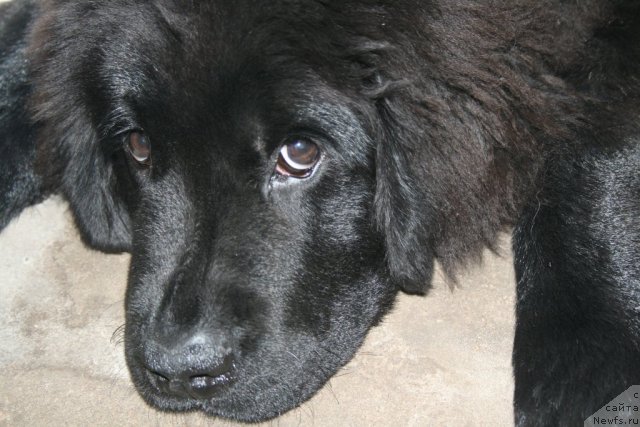 Фото: Nataliya Ryatsep (Наталия Рятсеп)