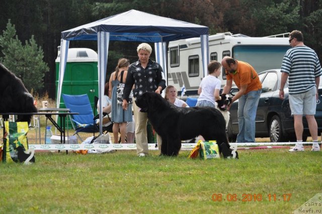 Фотография № 47610