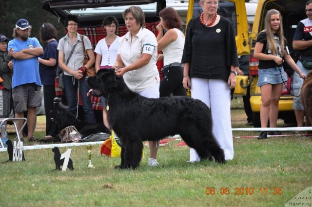 Фотография № 47612