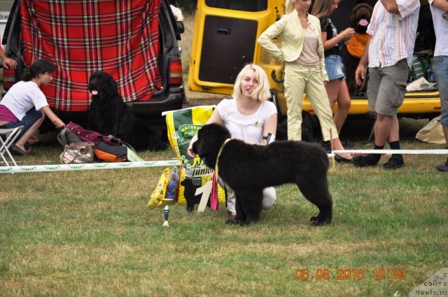 Фотография № 47618