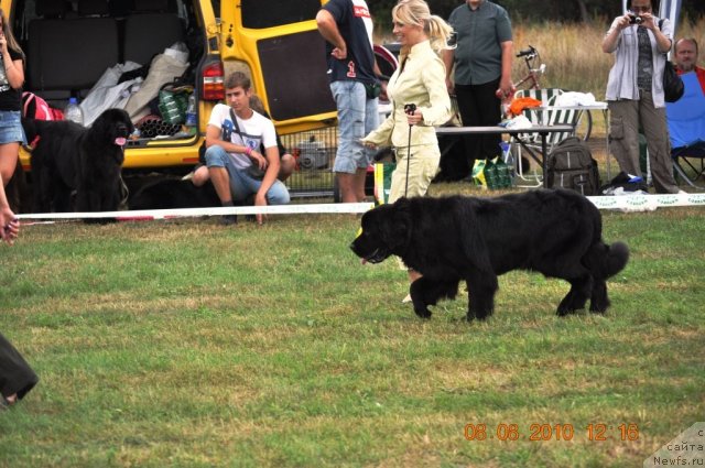 Фотография № 47620