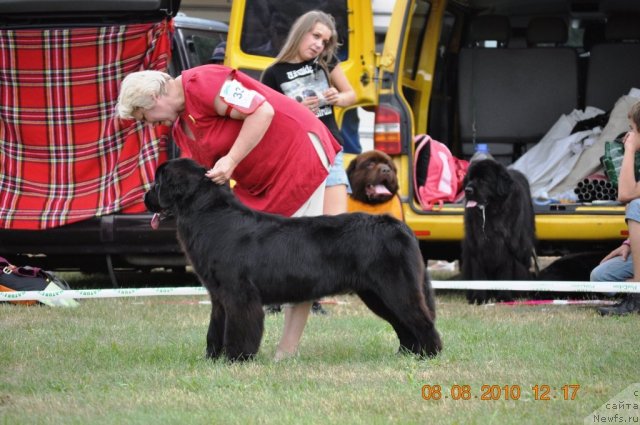 Фотография № 47621