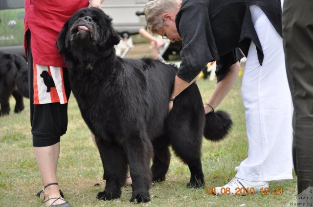 Фотография № 47624