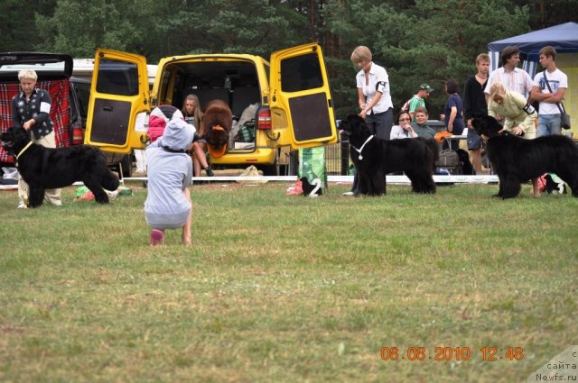 Фотография № 47630