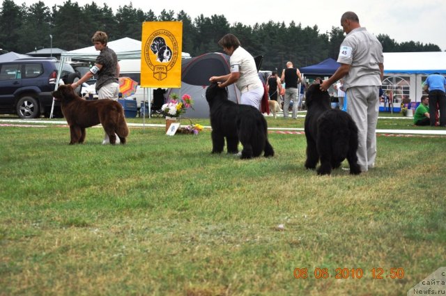 Фотография № 47631