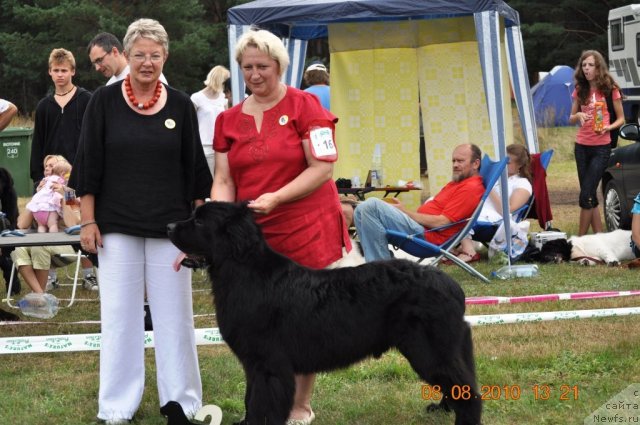Фото: Ol'ga Gordeeva (Ольга Гордеева), RESCUE LIFE NUO OZO KALVU.