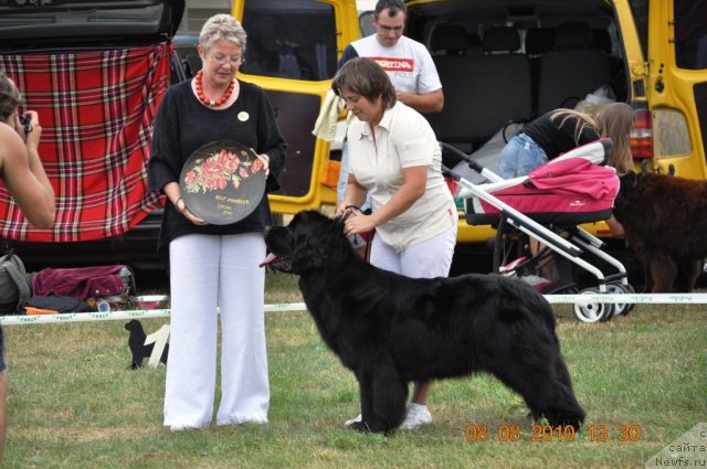 Фотография № 47634