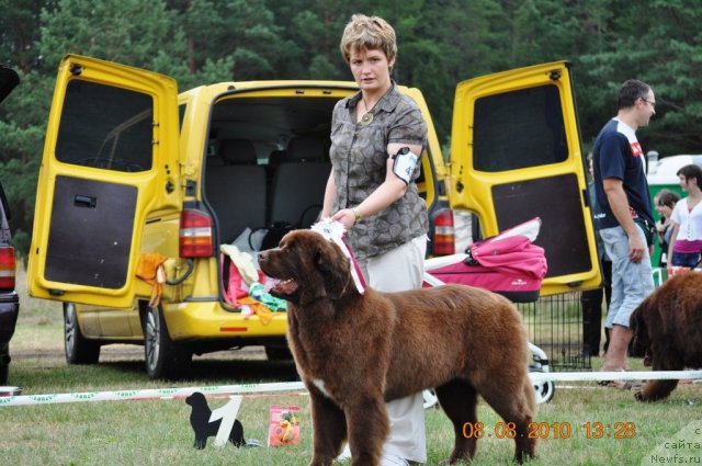 Фотография № 47635