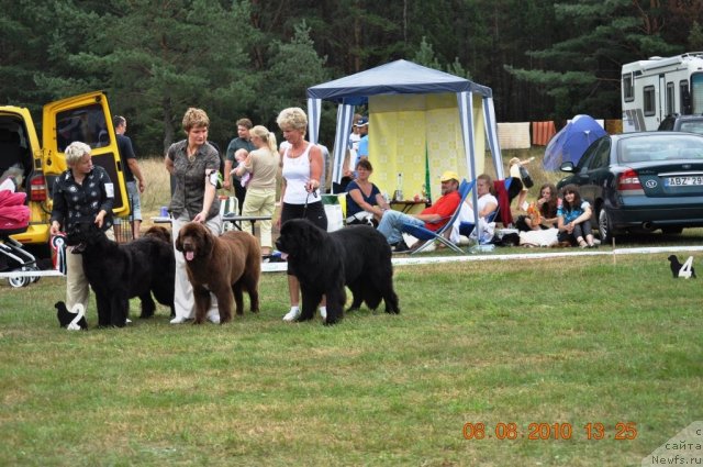 Фотография № 47636