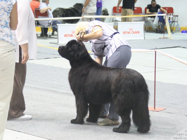 Фотография № 47916