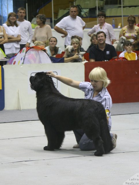 Фотография № 47923