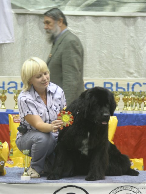 Фотография № 47924