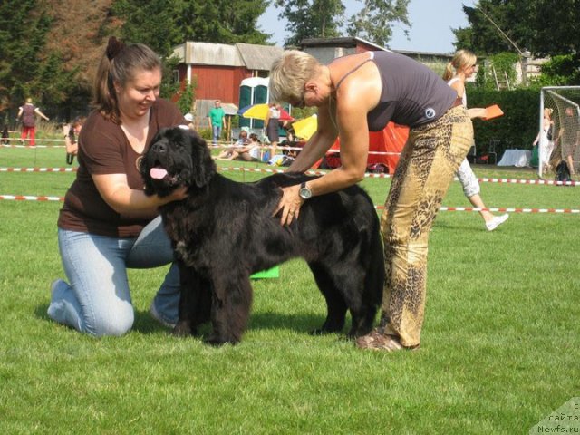 Фотография № 47975