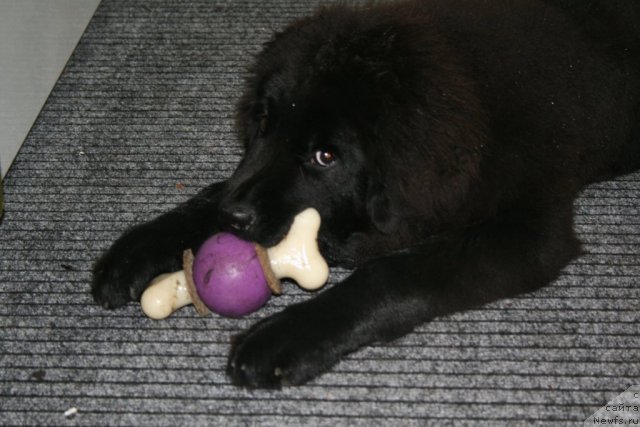 Фото: Nataliya Ryatsep (Наталия Рятсеп)