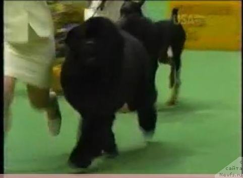 Фотография № 48066