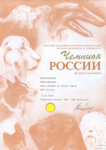 Фото: ньюфаундленд Ivan Tsarevich iz Tihogo Omuta (Иван Царевич из Тихого Омута)