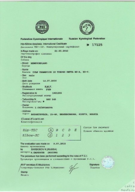 Фото: ньюфаундленд Ivan Tsarevich iz Tihogo Omuta (Иван Царевич из Тихого Омута)