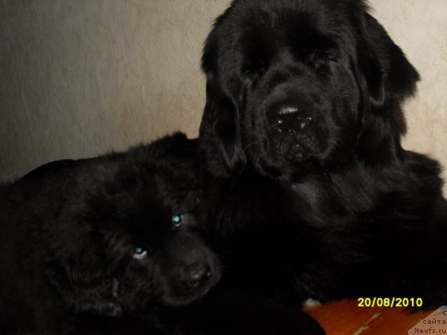 Фото: [d8430] и Изумруд Моей Души!