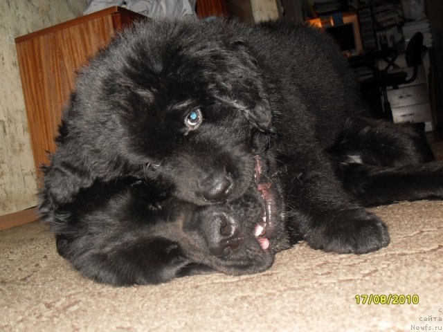 Фото: [d8430] и Изюм