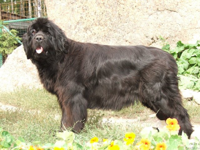 Фотография № 48232