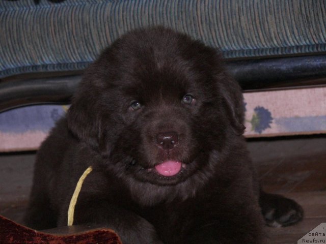 Фотография № 48240