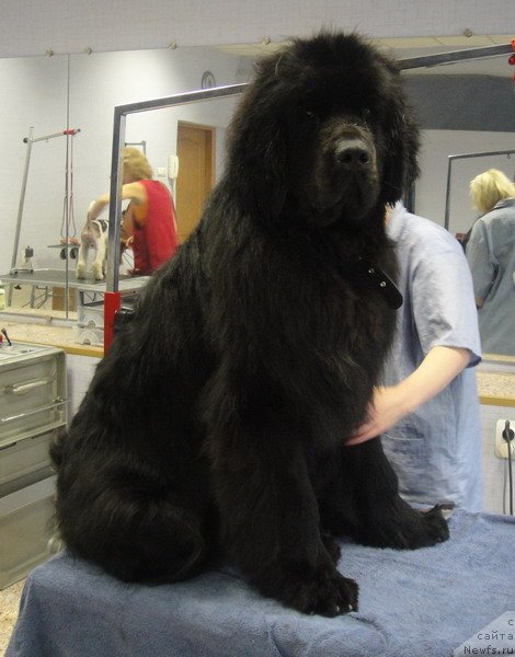 Фотография № 48286