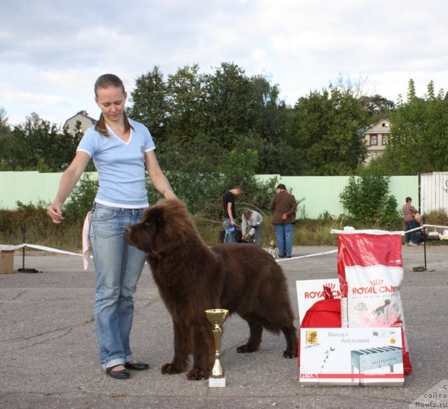 Фотография № 48322