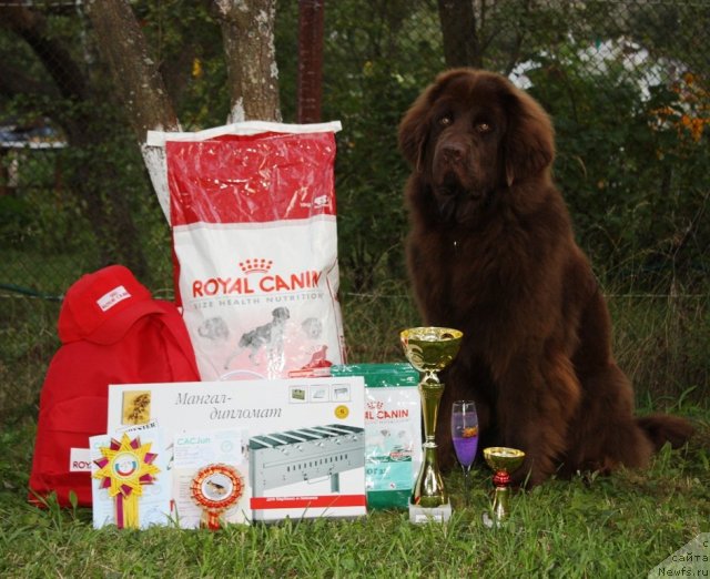 Фотография № 48361