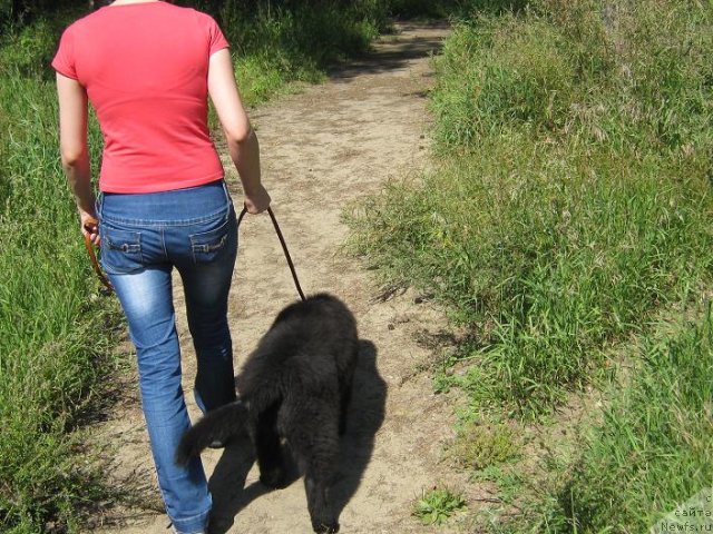 Фото: Svetlana Hackevich (Светлана Хацкевич), Svetlana Hackevich (Светлана Хацкевич)