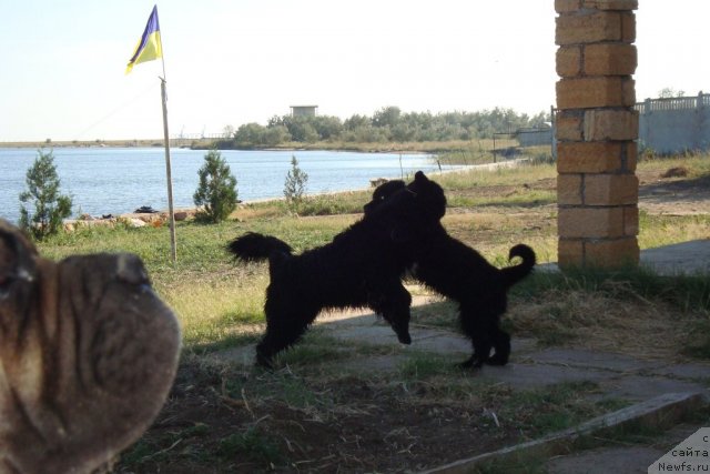 Фотография № 48425