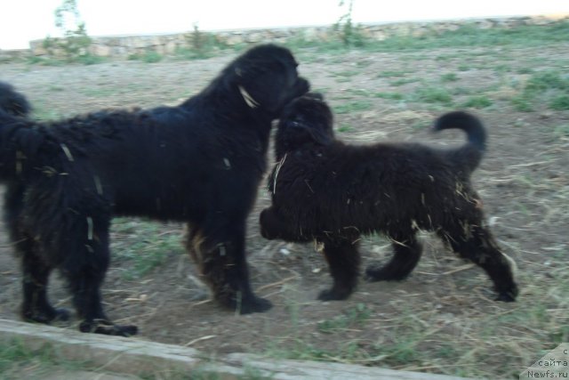 Фотография № 48429