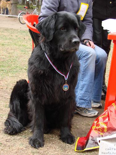 Фото: Nataliya Nichiporenko (Наталия Ничипоренко)