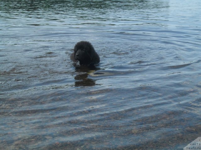 Фото: Sandra Tarvidaite (Сандра Тарвидаите)