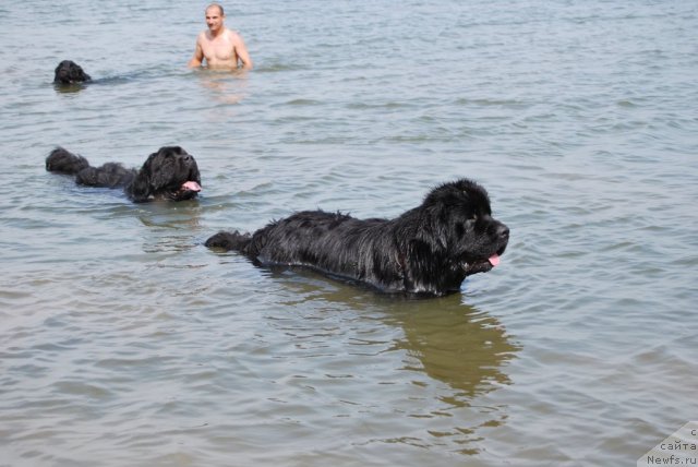 Фотография № 48549