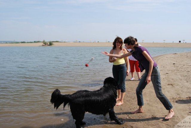 Фотография № 48550