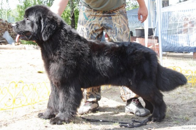 Фотография № 48562