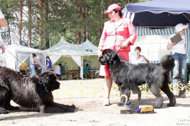 Фотография № 48569