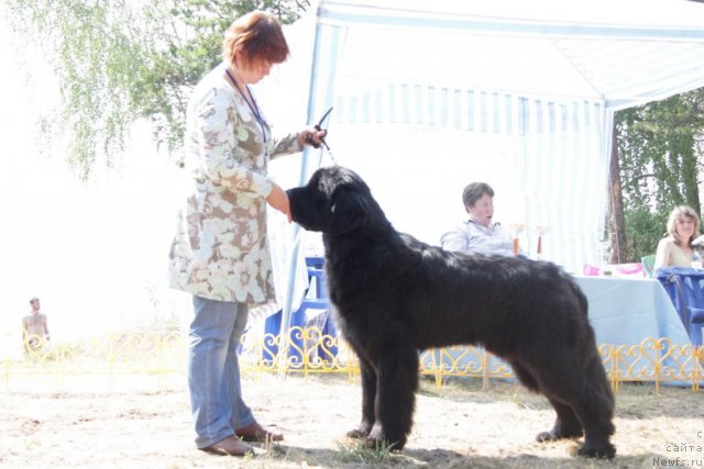 Фотография № 48570