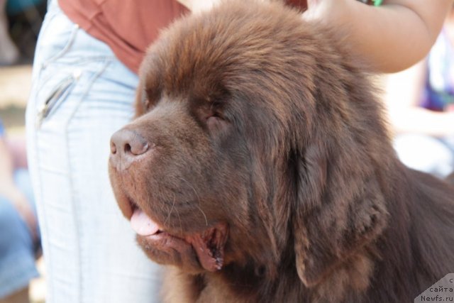 Фотография № 48576