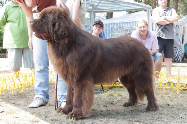 Фотография № 48578