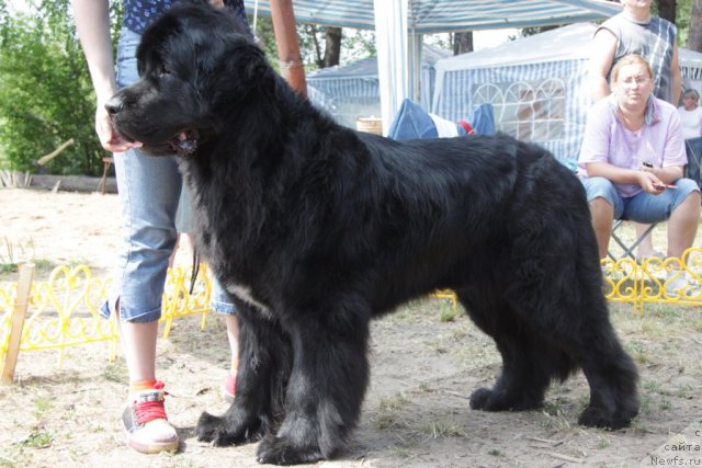 Фотография № 48580