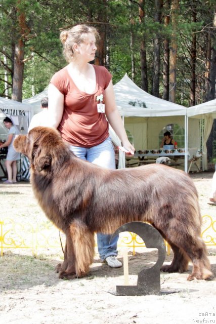 Фотография № 48582