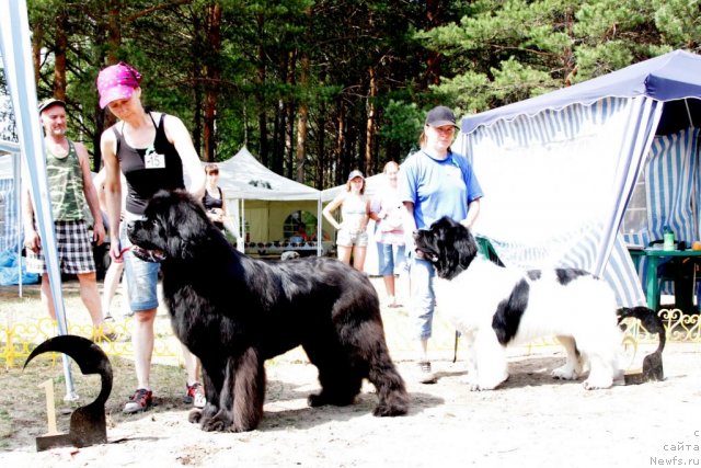 Фотография № 48585