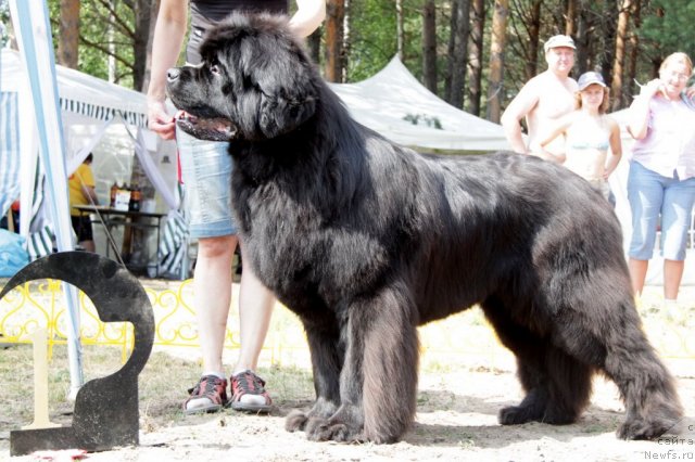 Фотография № 48586